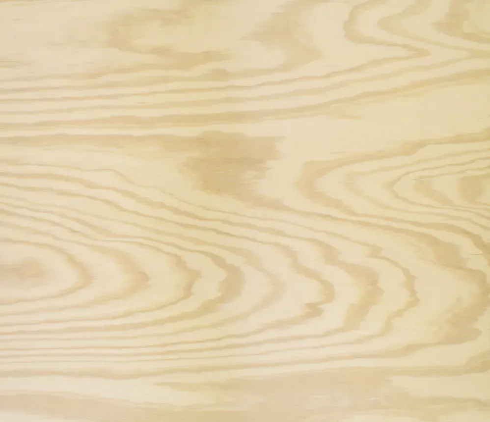 Plywood material sample