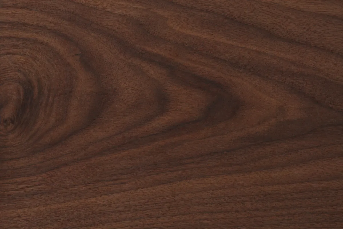 American Black Walnut sample