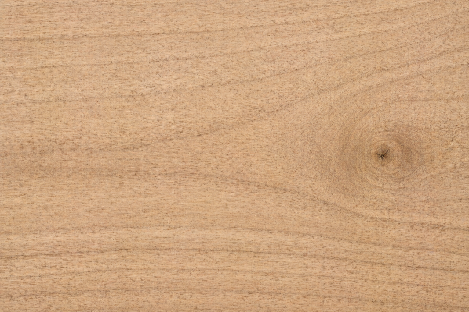 Butternut (White Walnut) sample