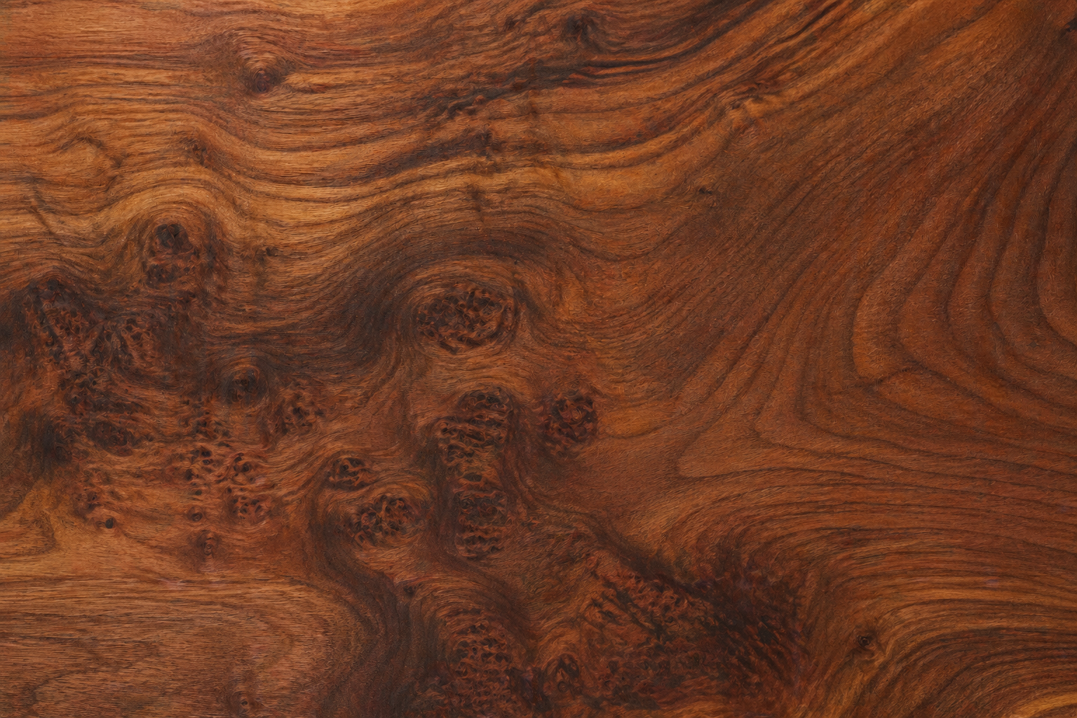 Claro Walnut sample