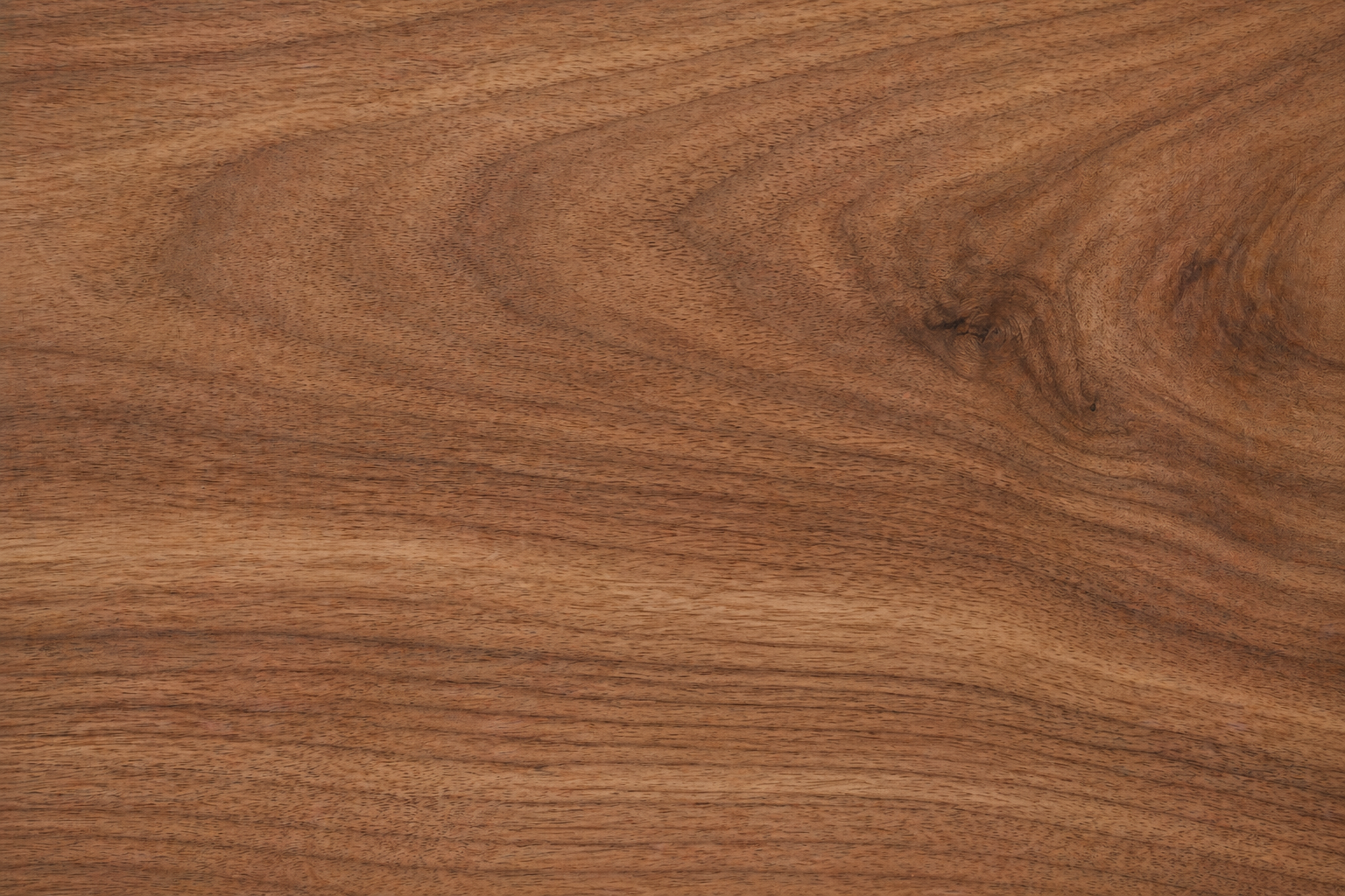 European / English Walnut sample